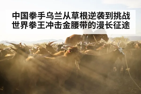 中国拳手乌兰从草根逆袭到挑战世界拳王冲击金腰带的漫长征途