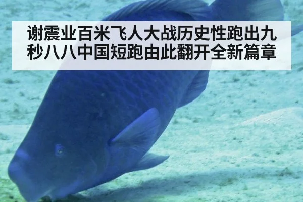 谢震业百米飞人大战历史性跑出九秒八八中国短跑由此翻开全新篇章